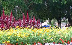 Novozybkov. Central Square
