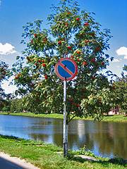 Novozybkov. Traffic sign