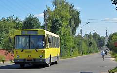 Novozybkov. City buses