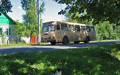 Novozybkov. City buses