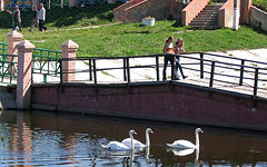 Novozybkov. Pond
