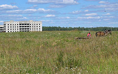 Novozybkov. Quarter #116