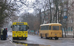 Novozybkov. City buses