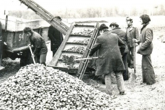 Работники станкозавода «на картошке»