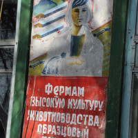 д. Несвоевка. Фото Дениса Клопова