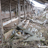 Фото Дениса Клопова